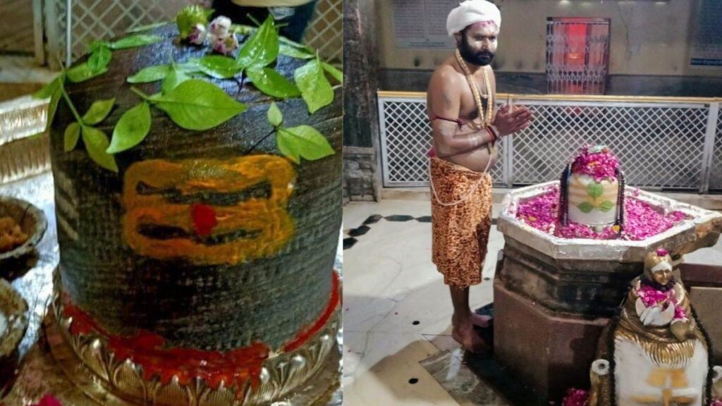 17 07 2022 chinta harn mandir mathura 22899486